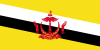 BRUNEI DARUSSALAM flag