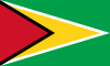 GUYANA flag